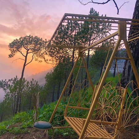 The Westberry 50Mtrs Offroading And 50 Mtrs Nature Path Bed & Breakfast Shimla Eksteriør bilde
