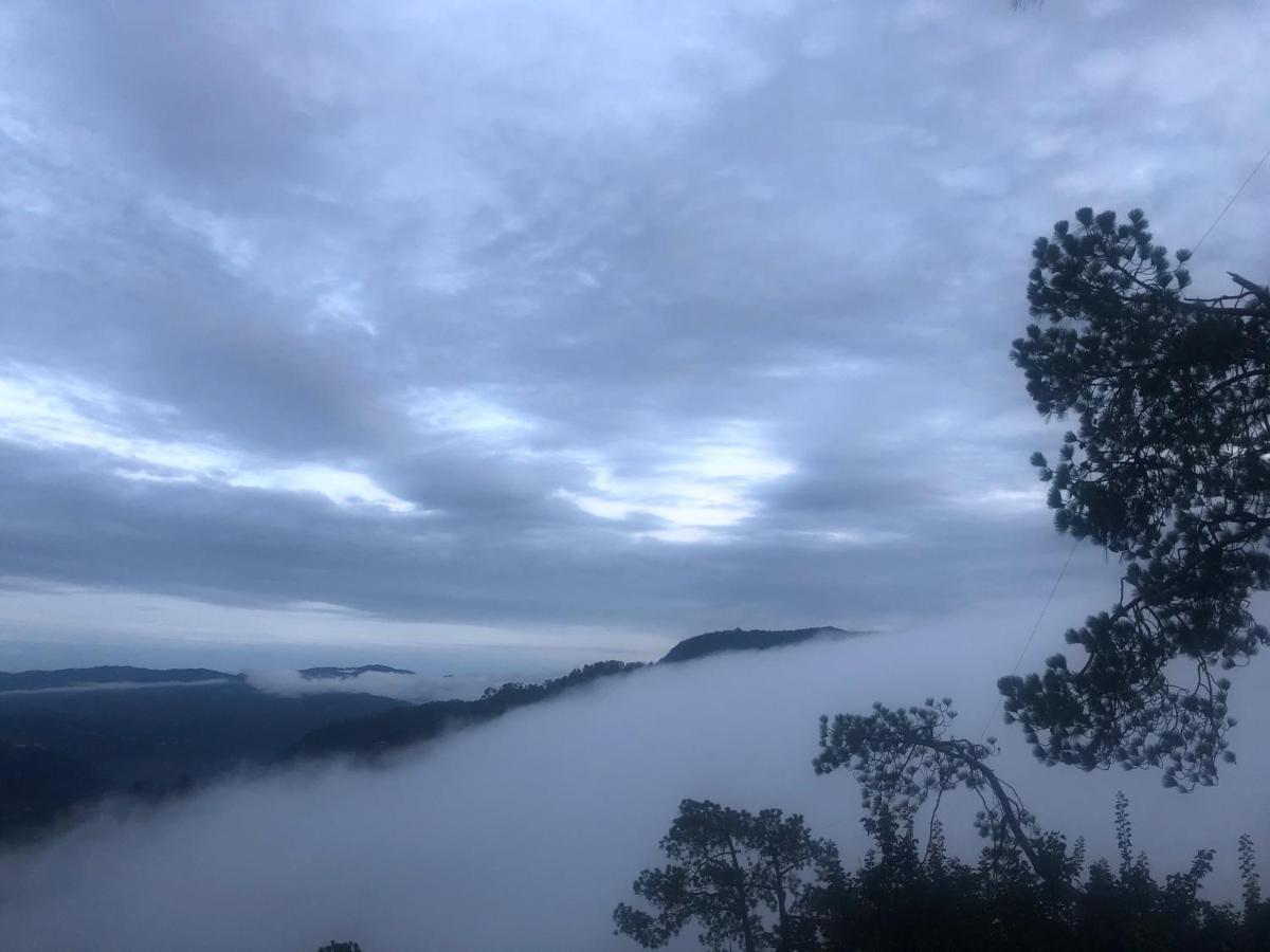 The Westberry 50Mtrs Offroading And 50 Mtrs Nature Path Bed & Breakfast Shimla Eksteriør bilde