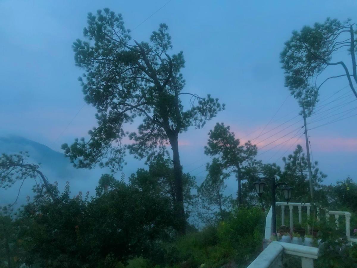 The Westberry 50Mtrs Offroading And 50 Mtrs Nature Path Bed & Breakfast Shimla Eksteriør bilde