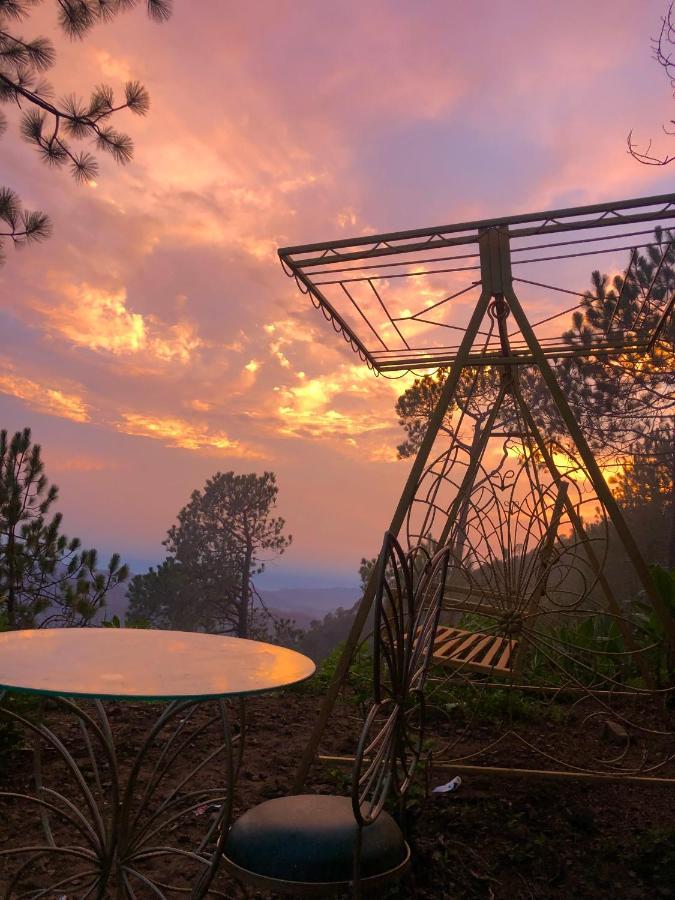 The Westberry 50Mtrs Offroading And 50 Mtrs Nature Path Bed & Breakfast Shimla Eksteriør bilde