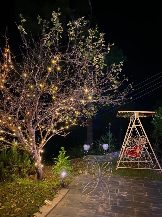 The Westberry 50Mtrs Offroading And 50 Mtrs Nature Path Bed & Breakfast Shimla Eksteriør bilde
